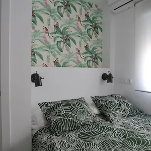 Cute Apartamento
